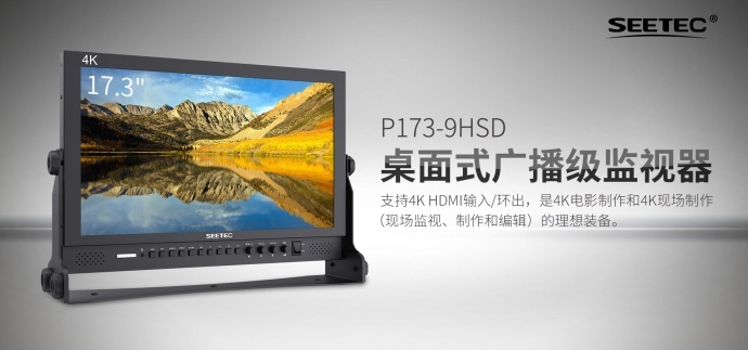 SEETEC视瑞特P173-9HSD 演播室非编系统专用17.3寸3G-SDI、HDMI 4K广播级摄影导演监视器 桌面式专业监视器 广电系统集成专用广播级监视器