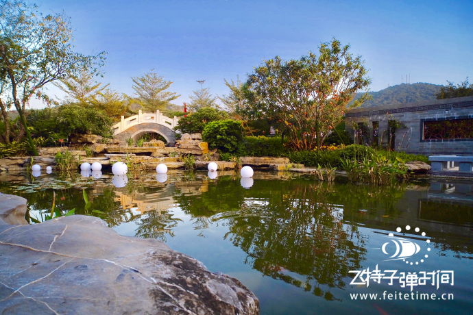 方圆滨江一号发布会#飞特子弹时间#