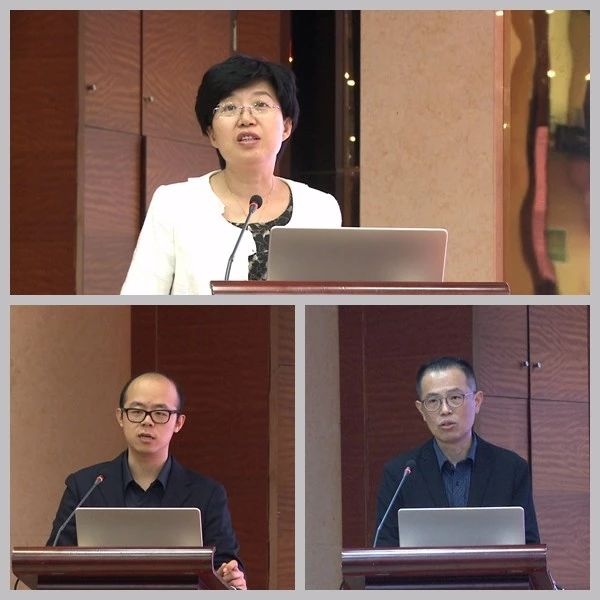 小羚羊微影 小羚羊微影