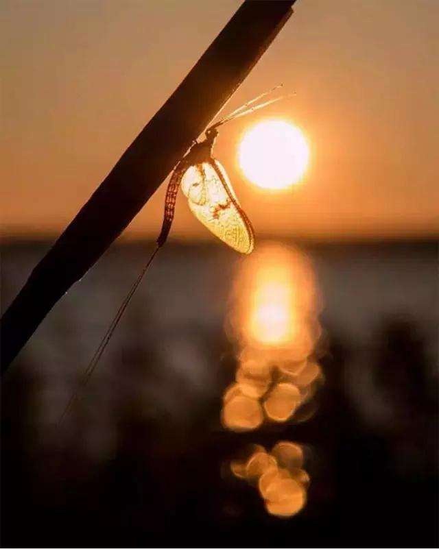 旅拍云约告诉你,不起眼的地方,是拍摄的最佳位置