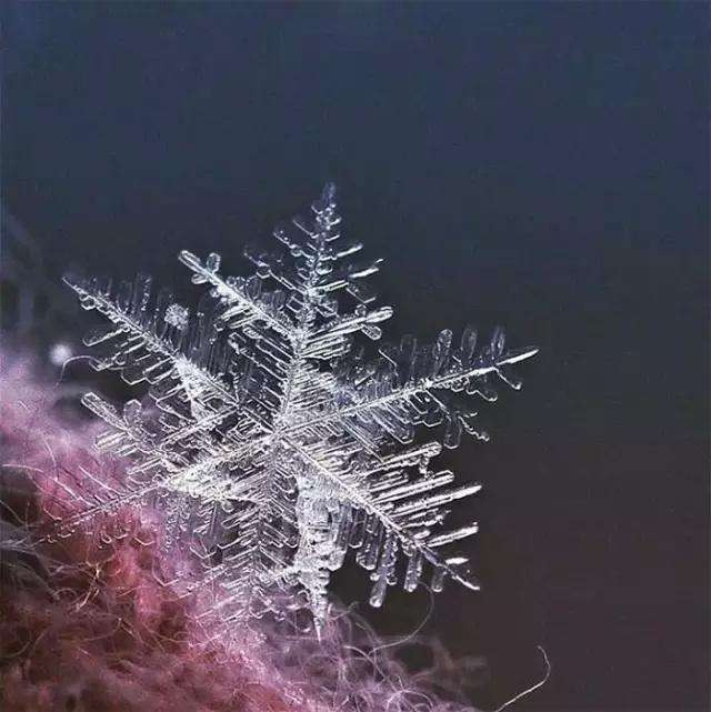 旅拍云约告诉你,不起眼的地方,是拍摄的最佳位置