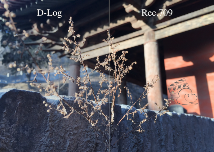 d-log to lut rec.709 å½±è§†å·¥ä¸šç½‘ æ¨¡å¼è¯¦è§£ Log