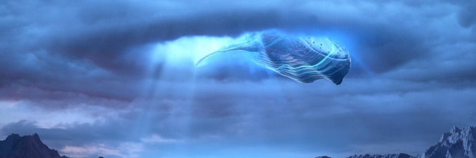 震撼视听——鲸鱼翱翔在湖山之境