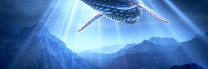震撼视听——鲸鱼翱翔在湖山之境