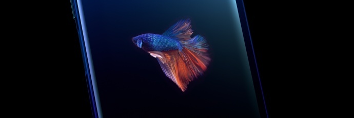 双面门神雅努斯 Nubia X产品创意视频