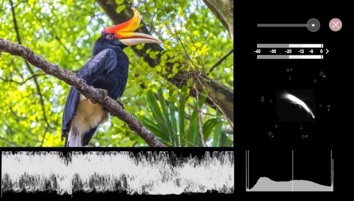 Atomos Shinobi 隐刃 1000尼特超高亮度5英寸HDMI监视器正式发布！