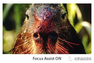 TVLogic新款监视器F-7H：具有3G-SDI和HDMI 1.3的7“FHD HDR现场监视器（最大亮度3,600nit）