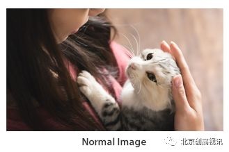 TVLogic新款监视器F-7H：具有3G-SDI和HDMI 1.3的7“FHD HDR现场监视器（最大亮度3,600nit）