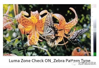 TVLogic新款监视器F-7H：具有3G-SDI和HDMI 1.3的7“FHD HDR现场监视器（最大亮度3,600nit）