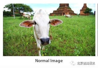 TVLogic新款监视器F-7H：具有3G-SDI和HDMI 1.3的7“FHD HDR现场监视器（最大亮度3,600nit）