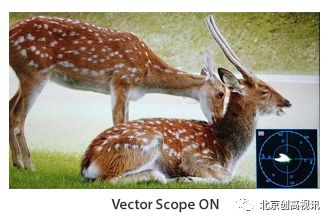 TVLogic新款监视器F-7H：具有3G-SDI和HDMI 1.3的7“FHD HDR现场监视器（最大亮度3,600nit）