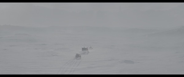 夜空中最亮的星 照亮未来的路