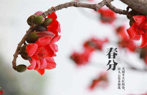 徐州大蒙影视，春分天下。#蒙出没#