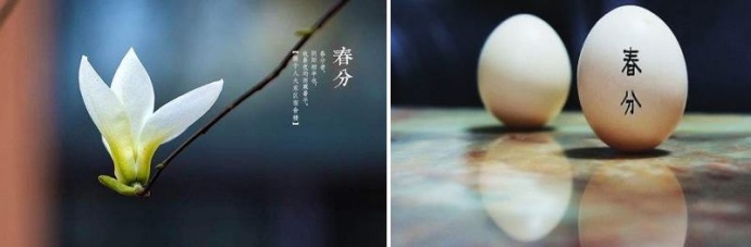 徐州大蒙影视，春分天下。#蒙出没#