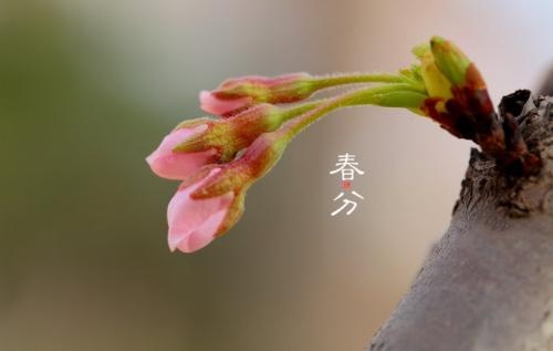徐州大蒙影视，春分天下。#蒙出没#