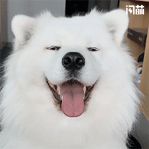 《冰雪奇缘2》最新预告