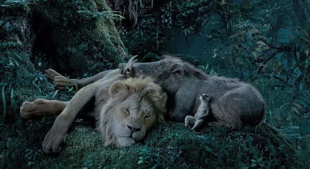 为什么说这是一个“裸泳”的暑期档？