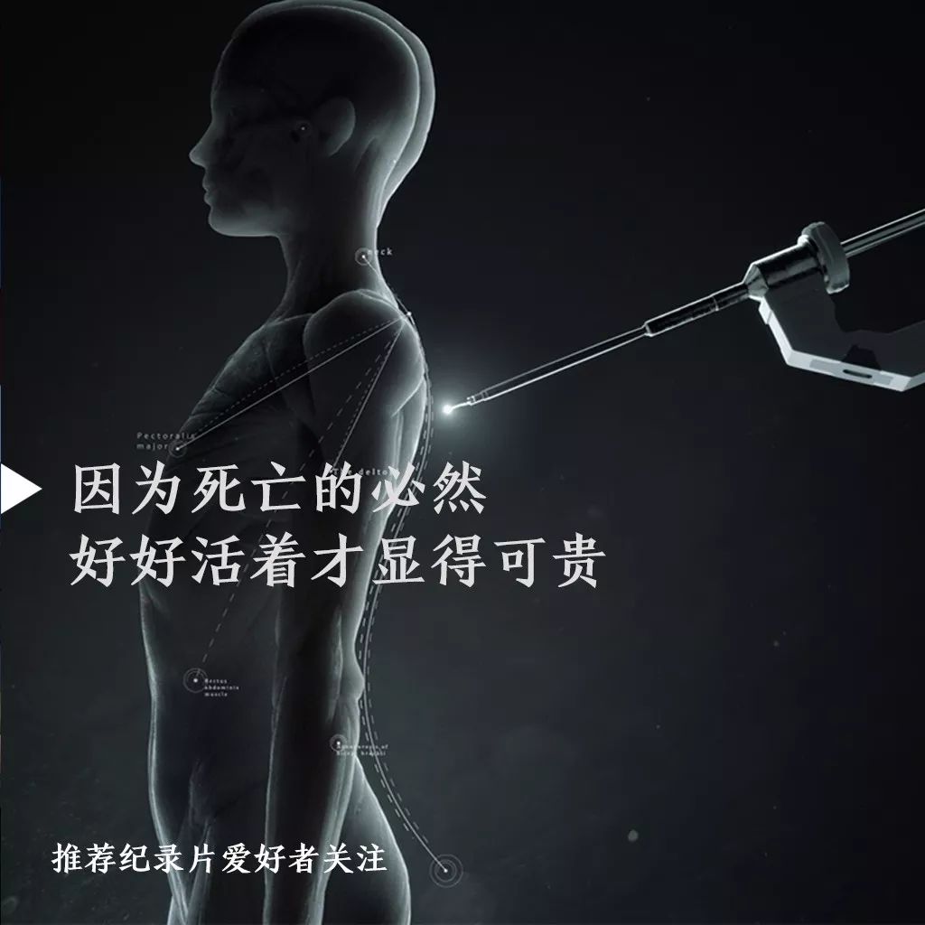 万万没想到，我竟然在“学习强国”追完一部剧