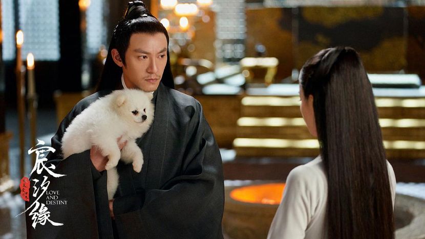 从5.4到7.0,逆袭的《宸汐缘》凭何“低开高走”?