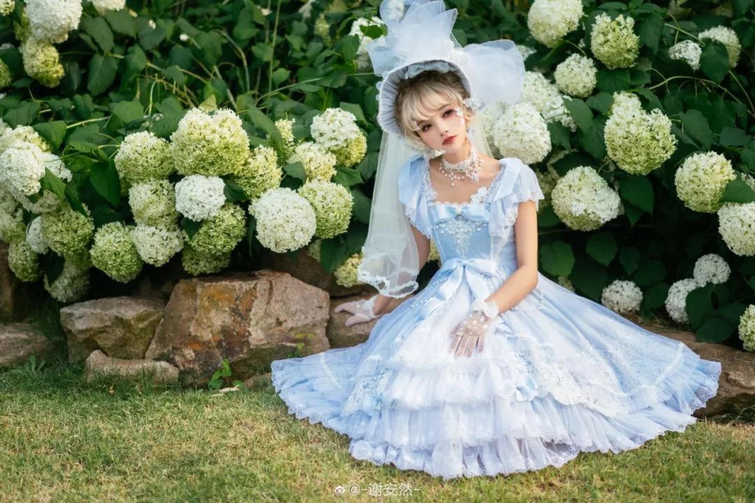 破产三姐妹的鄙视链