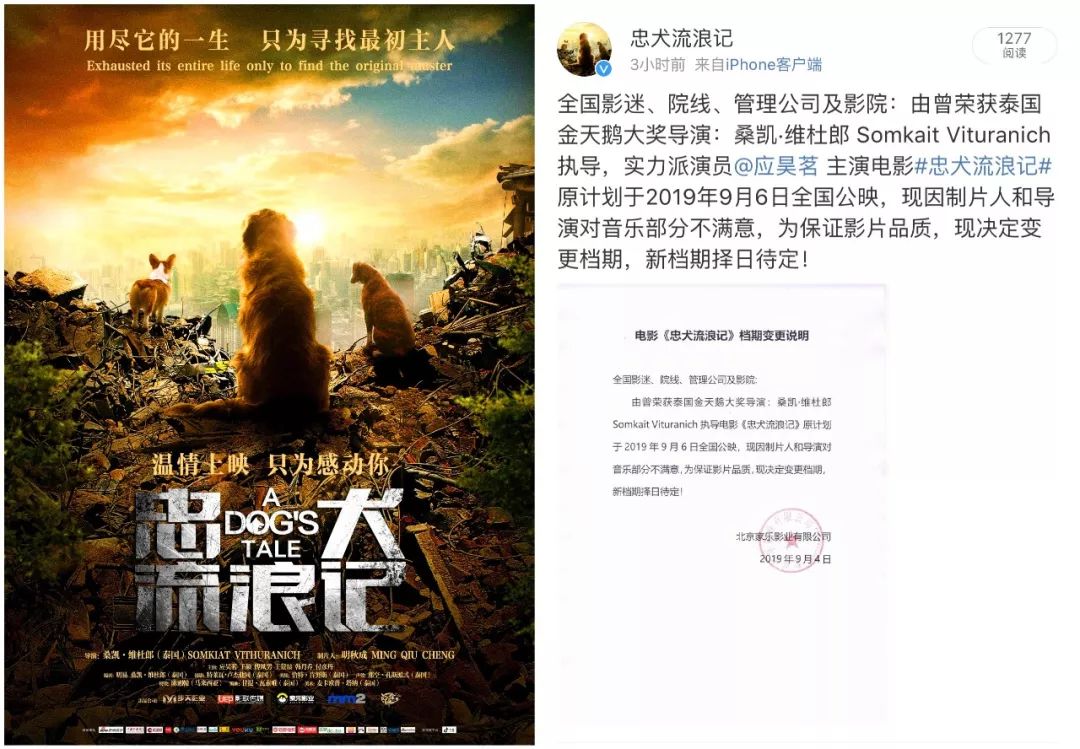 电影《忠犬流浪记》因重要原因改档 为追求完美上映时间择日公布