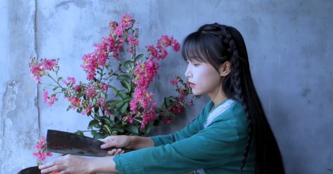 网红出海记:国外老铁深爱李子柒,办公室小野年分红超5000万?