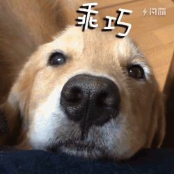 这个美啊!China Style中秋赏