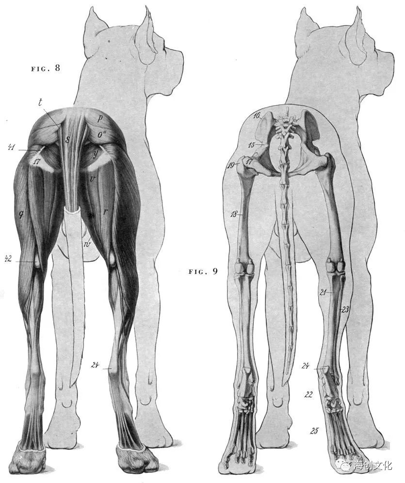 模型如人生——干货来袭