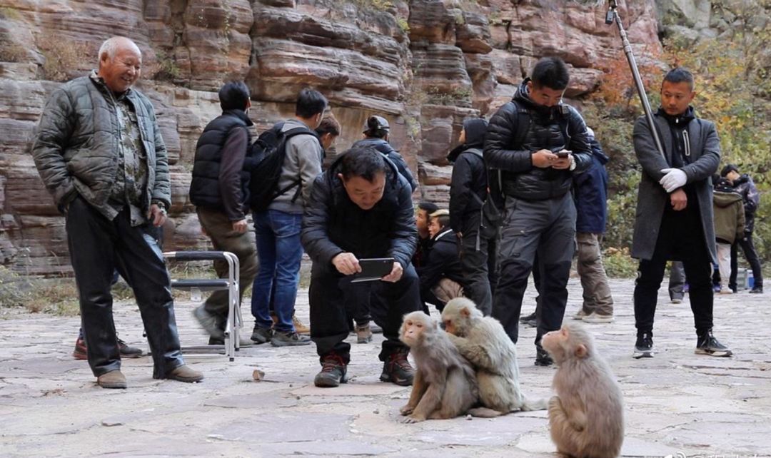 《诛仙Ⅰ》过后，新丽为什么需要重新定义自己？