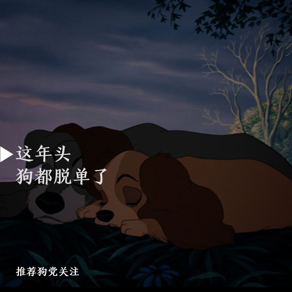 求求你们,还能再拍假点儿吗!