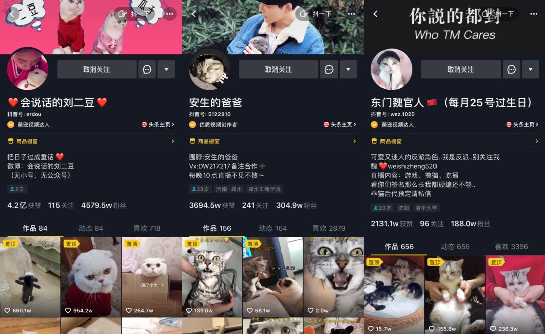 在抖音,如何捧红一只猫?