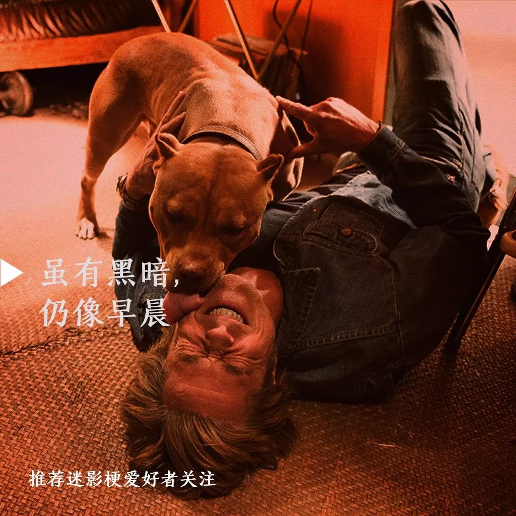 [好莱坞往事]的迷影梗，你找出了多少个？