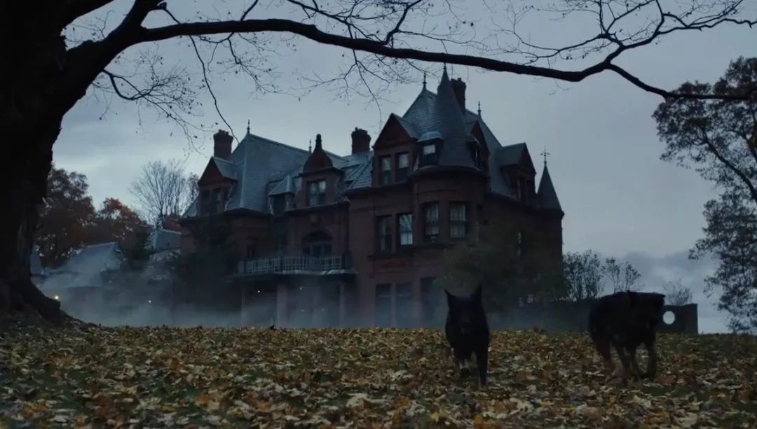 从《利刃出鞘》看“老黑屋电影”