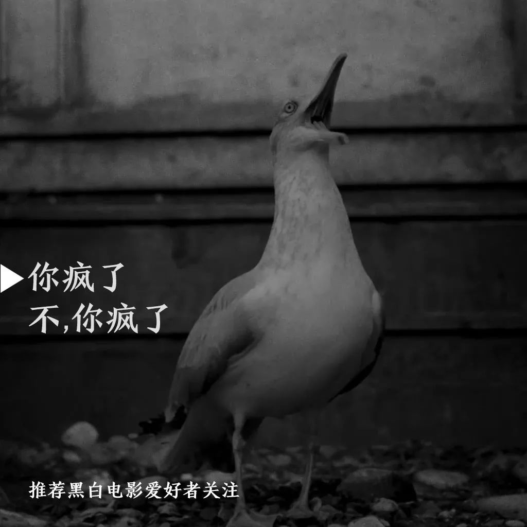 这是一部能把你逼疯的电影