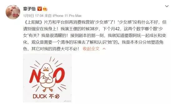 ​争议的《上阳赋》，“倒霉”的章子怡