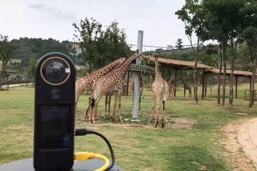 QooCam 8K行业版应用案例合集：5G+VR直播赋能多行业 5G+8K快讯 第10张