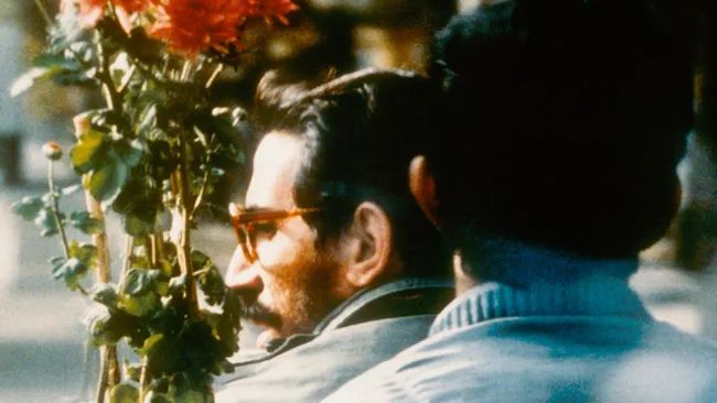 牢笼与脱逃：伊朗高分犯罪剧情片《特写》——12月10日相聚理想空间