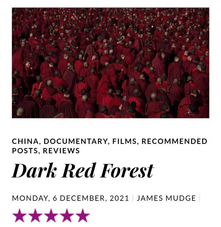 《绛红森林》:你我此生无法抵达的天籁之地